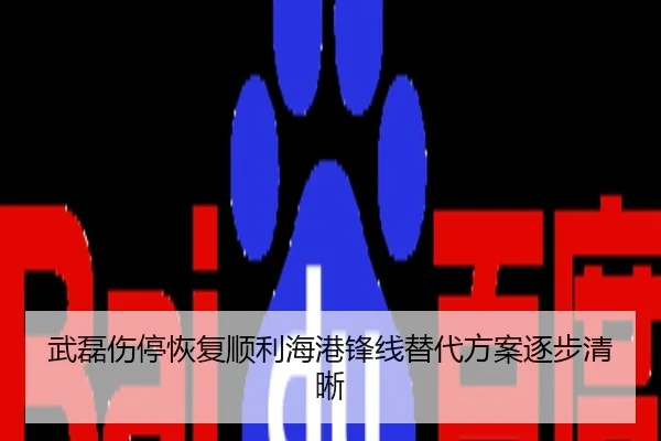 武磊伤停恢复顺利海港锋线替代方案逐步清晰